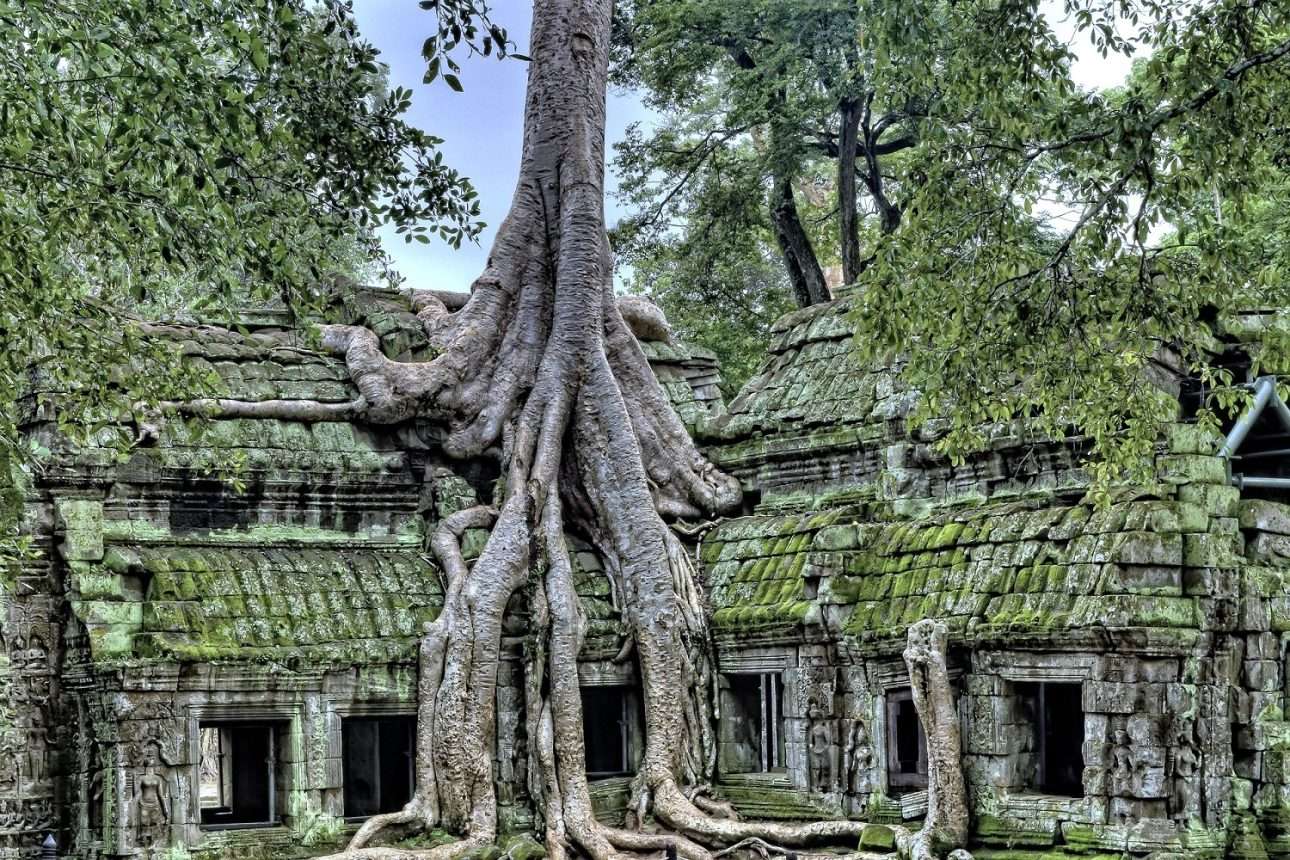 Ta Prohm Temple