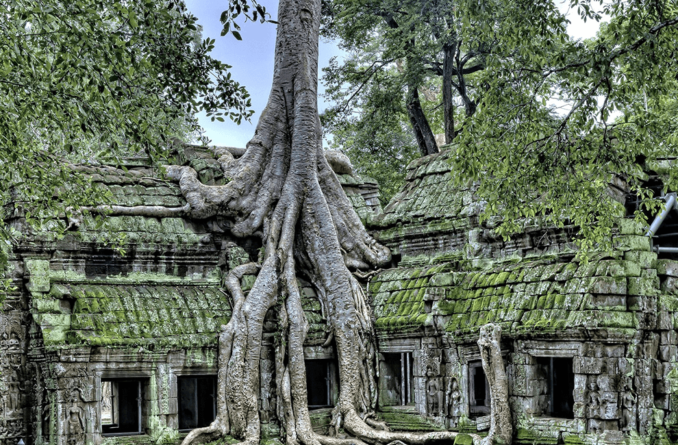 Ta Prohm Temple