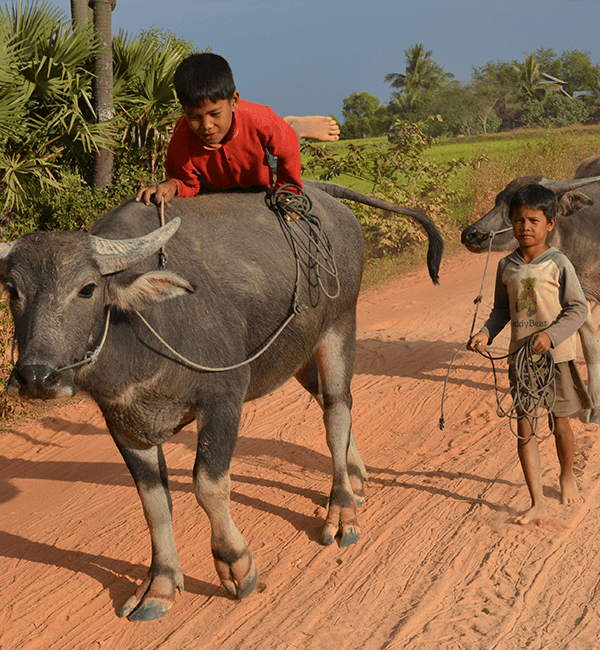 Battambang Countryside Tour