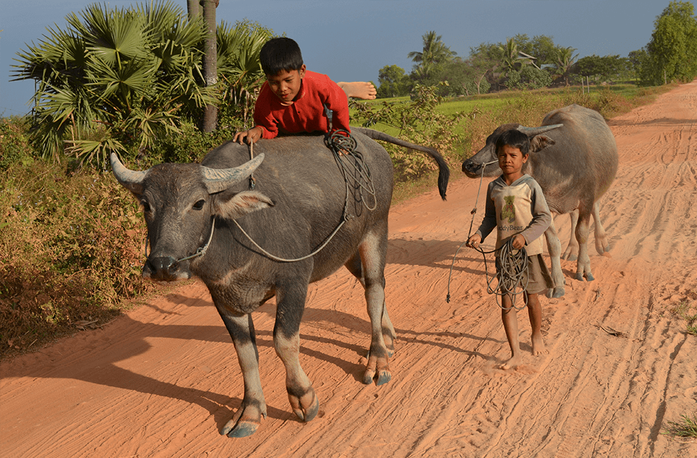 Battambang Countryside Tour