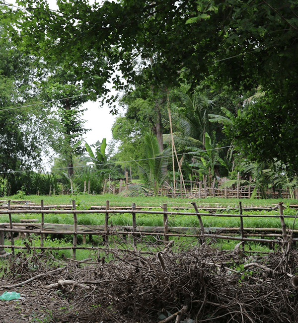 Local Livelihood Bike Tour