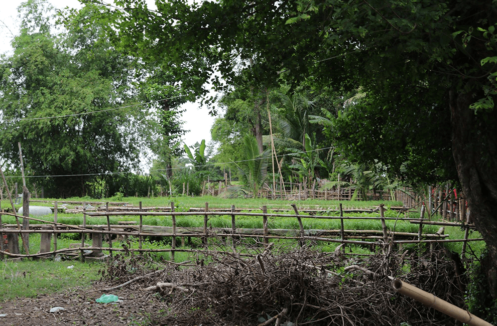 Local Livelihood Bike Tour