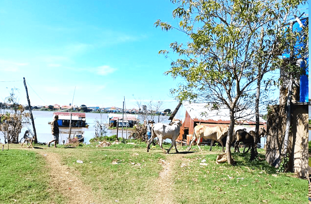 Discover Oudong Mountain by Bike