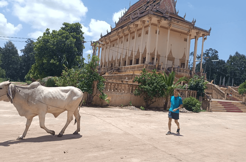 Mekong Island Fun Time