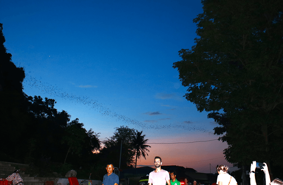 Phnom Sompov Bats Cave