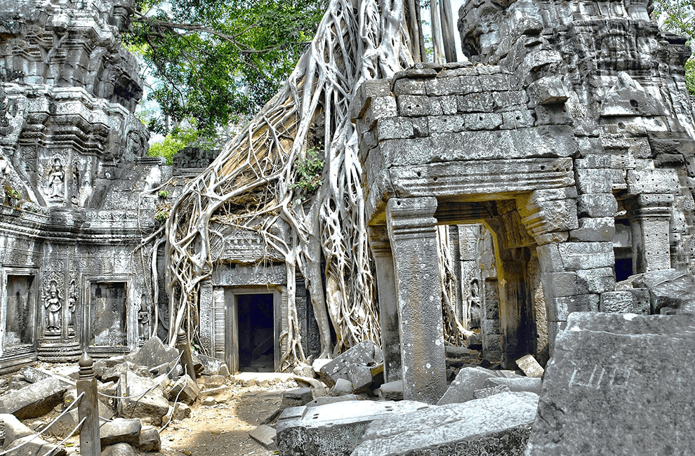 Ta Prohm Temple