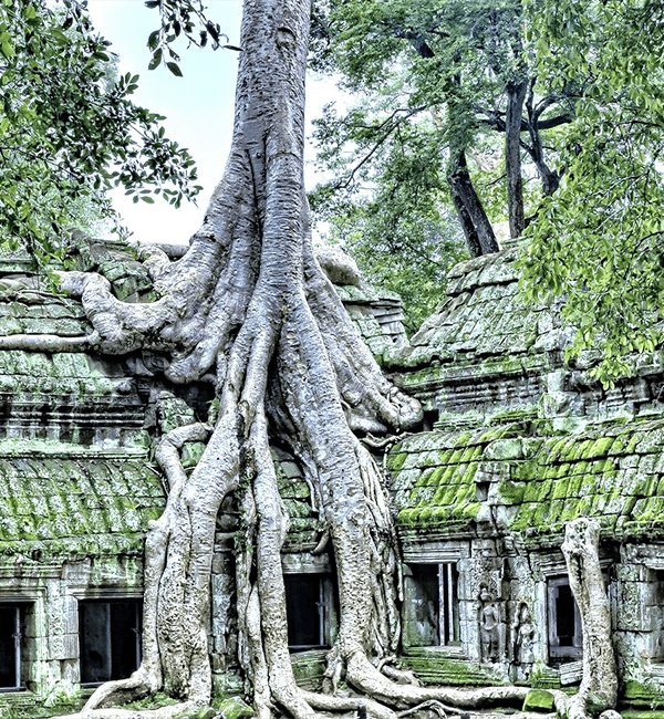 Siem Reap Short Break Tour