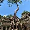 Angkor Wat Tour