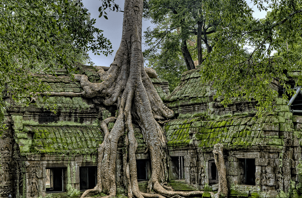 Ta Prohm Temple