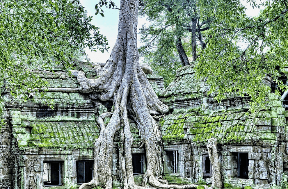 Ta Prohm Temple