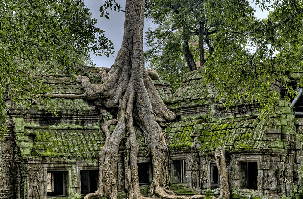 Angkor Wat Private Tour