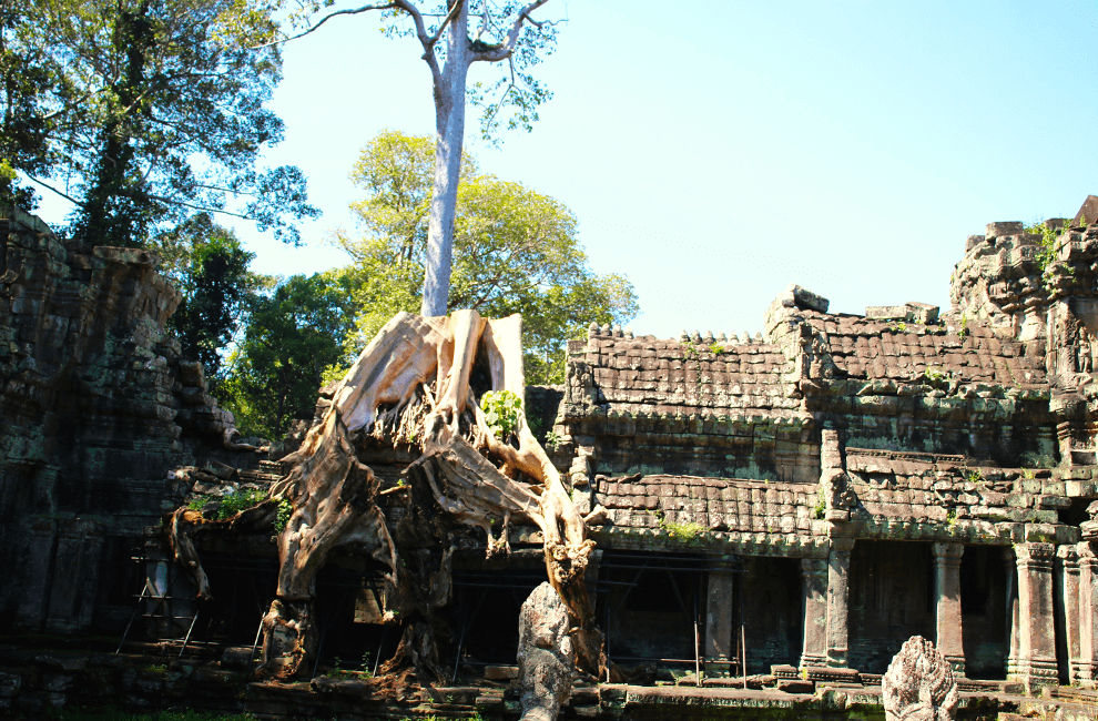 Angkor Wat Private Tour