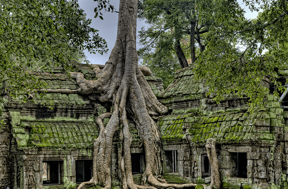 Popular Angkor Day Tour: Ta Prohm Temple