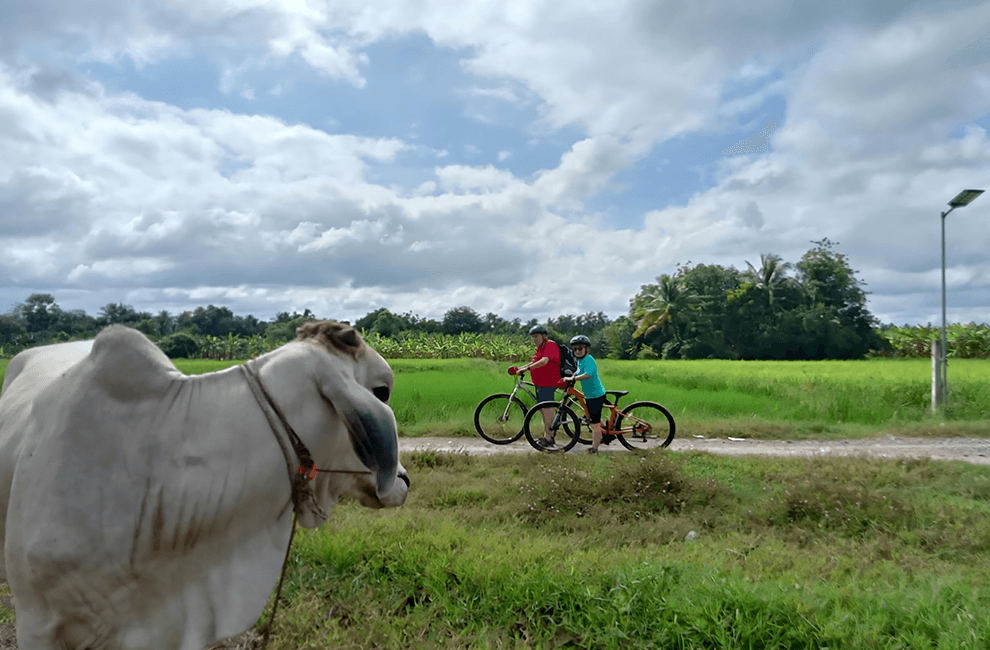 Countryside Bike Tour Experience