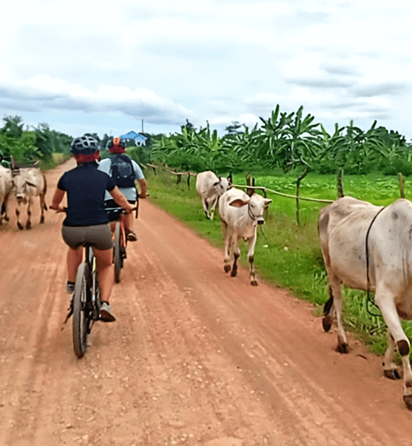 Private Countryside Bike Tour