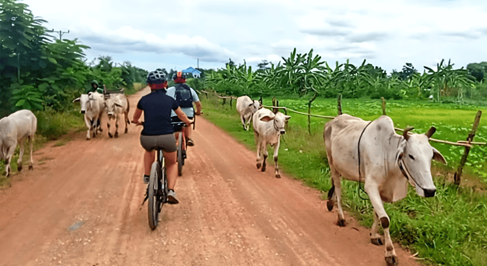 Private Countryside Bike Tour