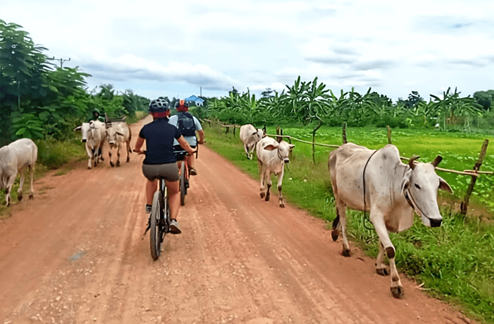 Private Countryside Bike Tour