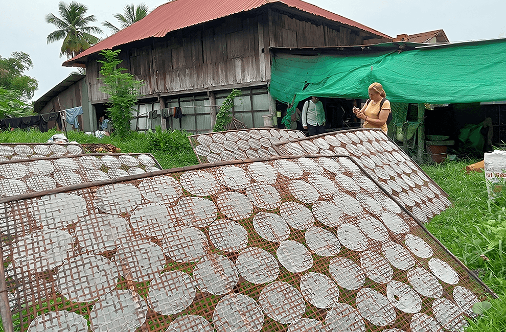 Rice Paper in Battambang