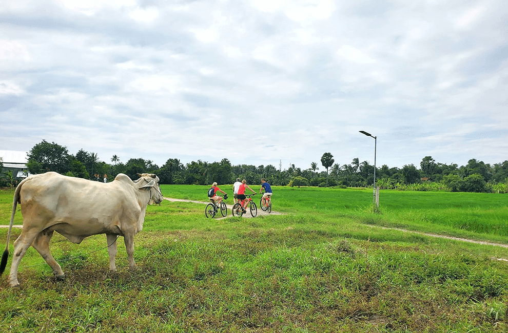 Battambang Bike Tour