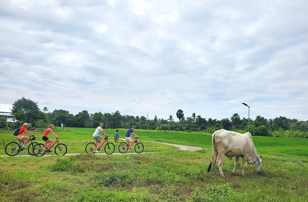 Cycling Tour