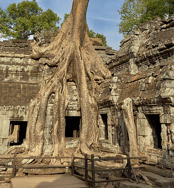 Prasat Ta Prohm Temple