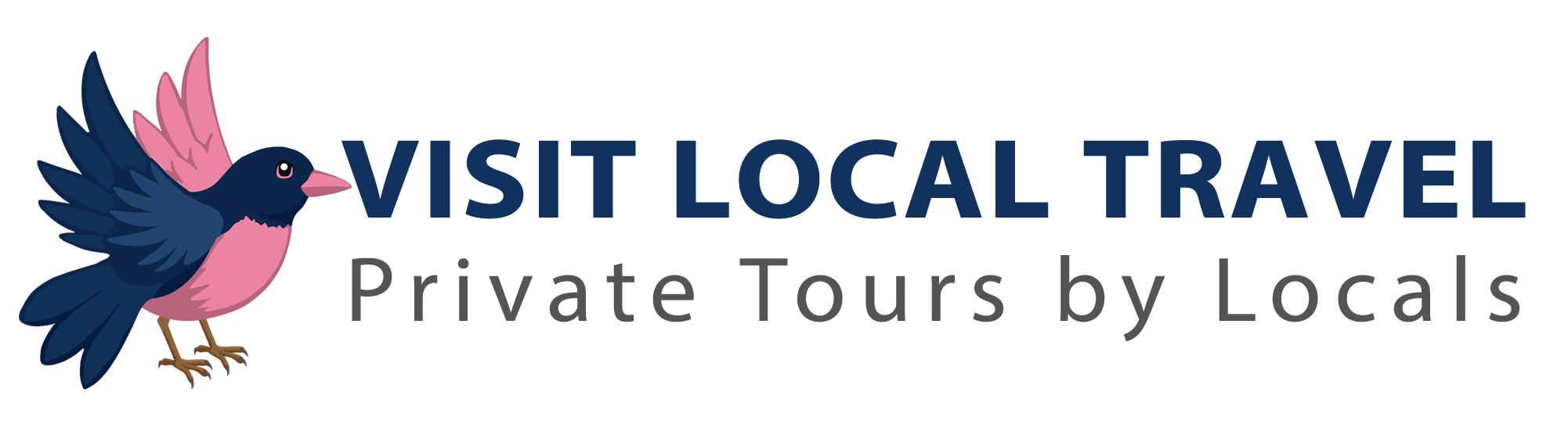 Logo Visit Local Travel