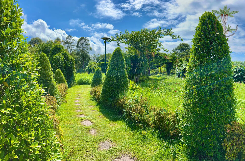 Angkor Botanical Garden in Siem Reap