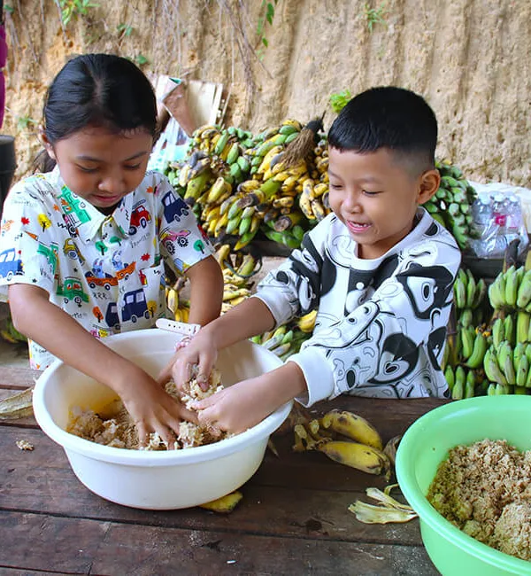 Banteay Srei Elephant Sanctuary