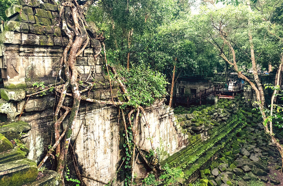 Beng Mealea Temple in Jungle