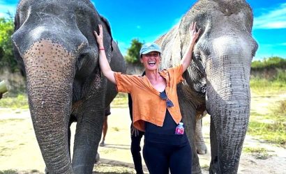 Cambodia Elephant Sanctuary in Banteay Srei, Siem Reap