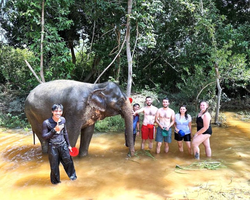 Cambodia Elephant Sanctuary in Banteay Srei, Siem Reap