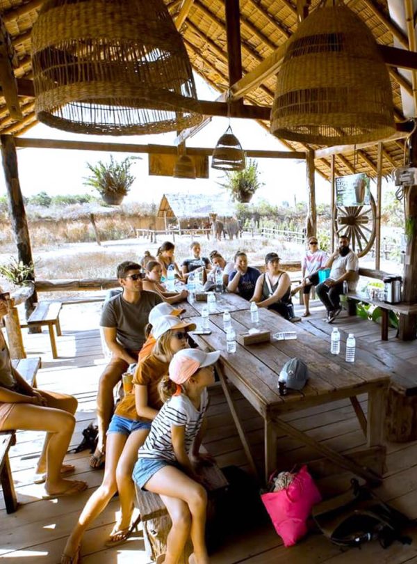 Cambodia Elephant Sanctuary in Banteay Srei, Siem Reap