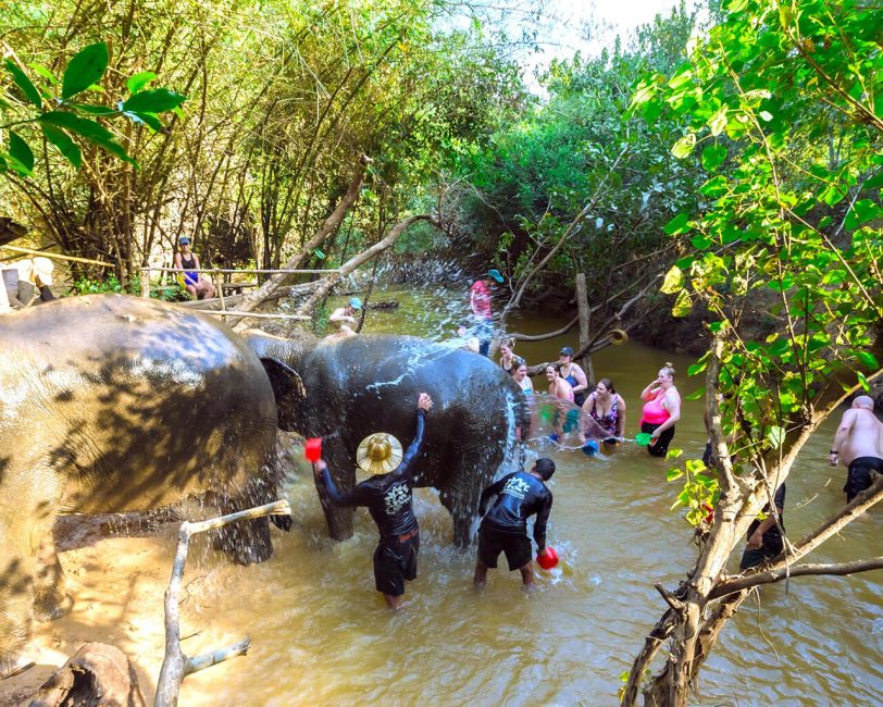 Cambodia Elephant Sanctuary in Banteay Srei, Siem Reap