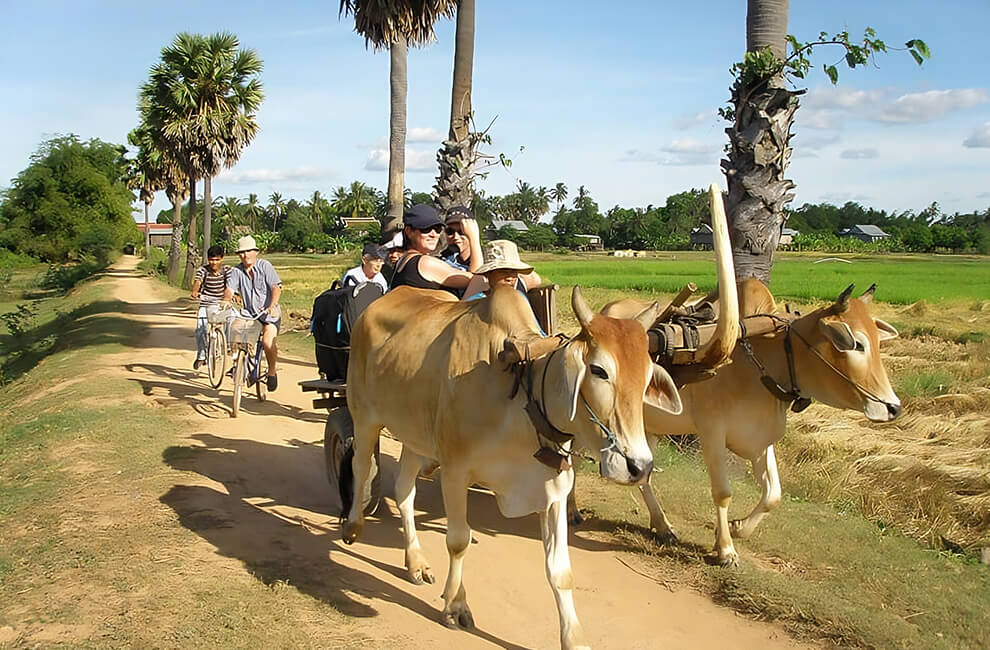 Koh Trong Island Bike Tour