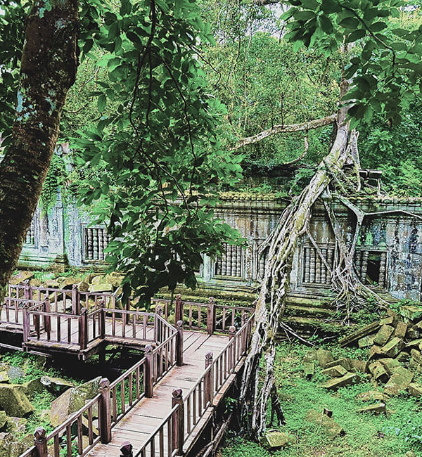 Beng Mealea Temple Tour