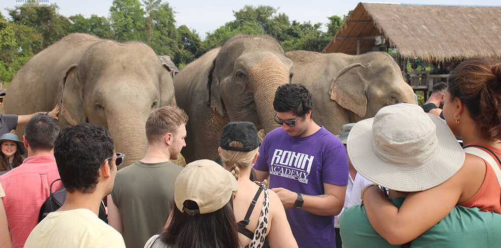 Angkor Wat Temple and Elephant Sanctuary Tour