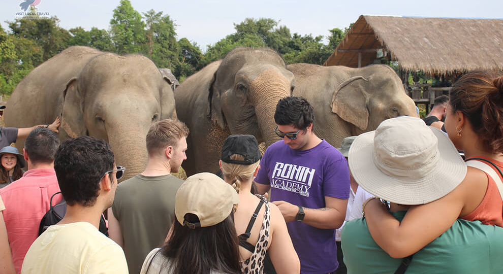 Angkor Wat Temple and Elephant Sanctuary Tour