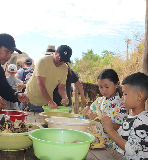 Prepare Foods for Elephants