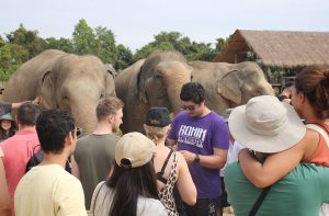Angkor Wonders and Elephant Sanctuary 2-Day Tour tour in Cambodia, Siem Reap
