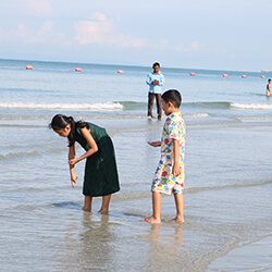 Beach & Island